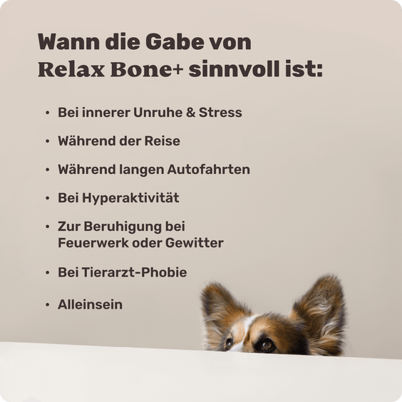 Anwendungssituationen für Relax Bone+