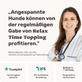 Hunde Entspannungspulver Relax Time Topping Tierarztempfehlung