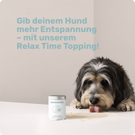 Hunde Entspannungspulver Relax Time Topping Kundenumfrage