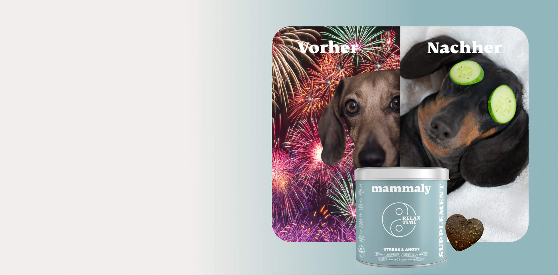 Silvesterknaller, Feuerwerk & Stress? Dein Hund muss nicht leiden!