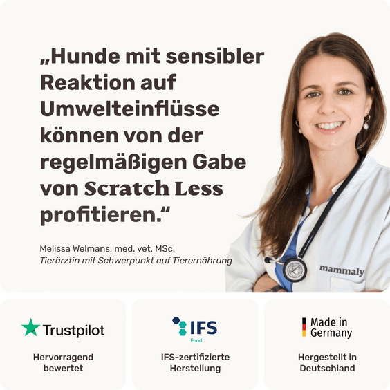 Stärkender Hypoallergen-Snack für sensible Hunde Scratch Less Tierarztempfehlung