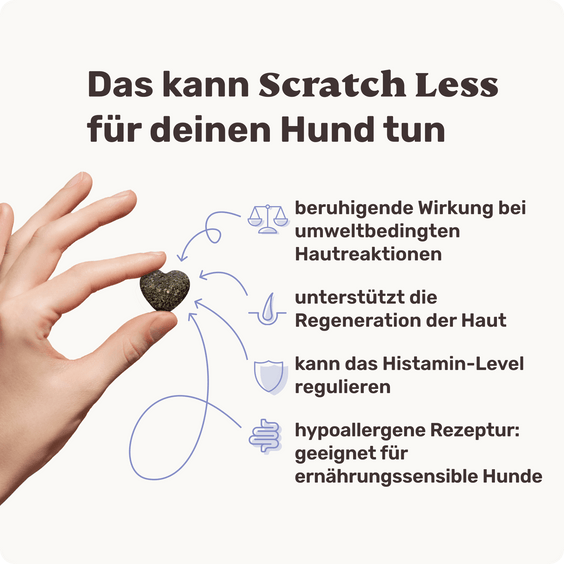 Hunde Haut-Snack Scratch Less Produktvorteile