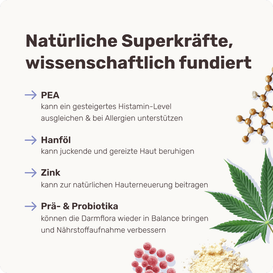 Stärkender Hypoallergen-Snack für sensible Hunde Scratch Less 
Inhaltsstoffe