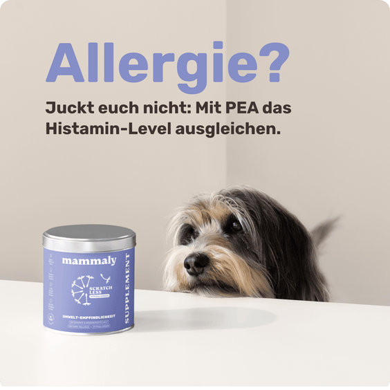 Stärkender Hypoallergen-Snack für sensible Hunde Scratch Less 
Hintergrundwissen