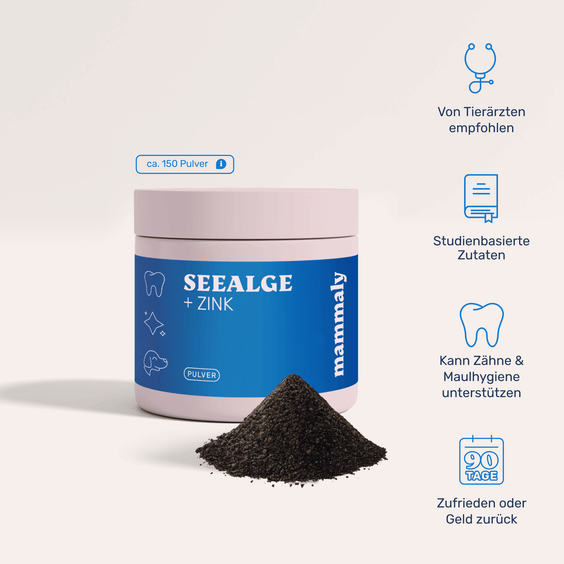 Seealge mit Zink Pulver für Hunde – Produktverpackung