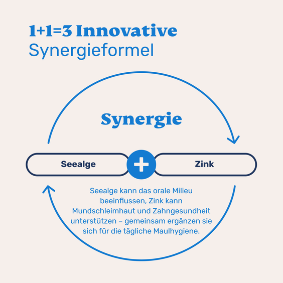 Seealge mit Zink Pulver für Hunde  – Synergieformel zur Unterstützung der natürlichen Funktionen der Seealge