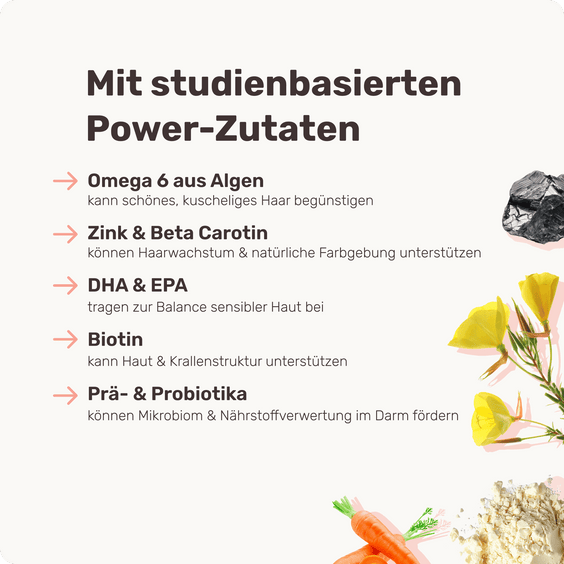 Hunde Haut- & Fellpflegepulver Shiny Hair Topping Inhaltsstoffe