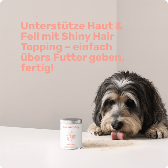 Hunde Haut- & Fellpflegepulver Shiny Hair Topping Kundenumfrage