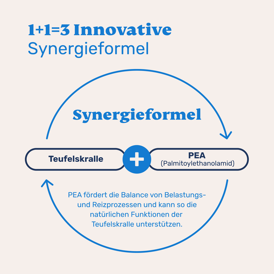 Teufelskralle und PEA Inhaltsstoffe für Hunde – Synergieformel