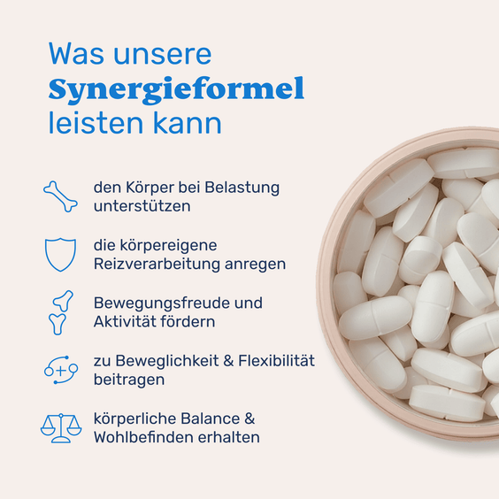 Teufelskralle + PEA für Hunde – Vorteile für Gelenke und Beweglichkeit