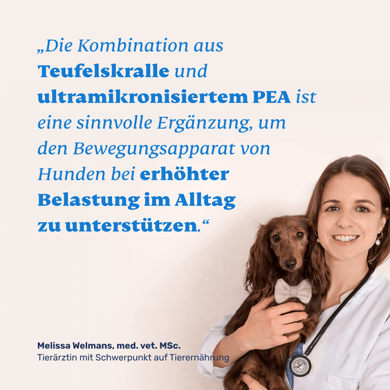 Teufelskralle und PEA für Hunde – Tierärztliche Empfehlung und Qualitätssiegel