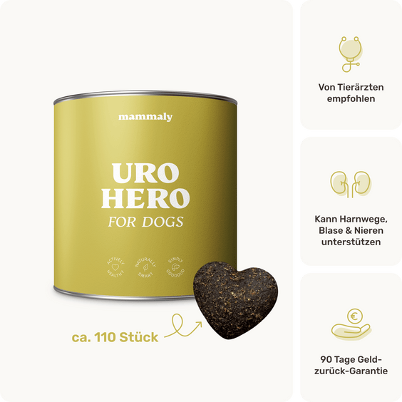 Blasen & Nieren-Snack für Hunde Uro Hero Produktverpackung