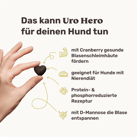 Blasen & Nieren-Snack für Hunde Uro Hero Produktvorteile