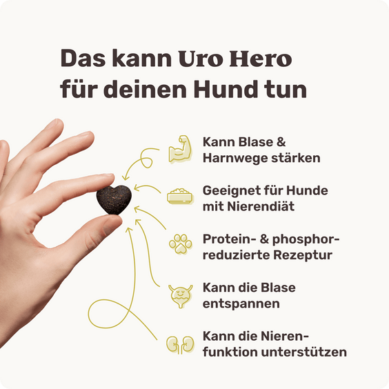 Blasen & Nieren-Snack für Hunde Uro Hero Produktvorteile
