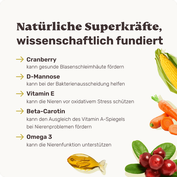 Blasen & Nieren-Snack für Hunde Uro Hero Inhaltsstoffe