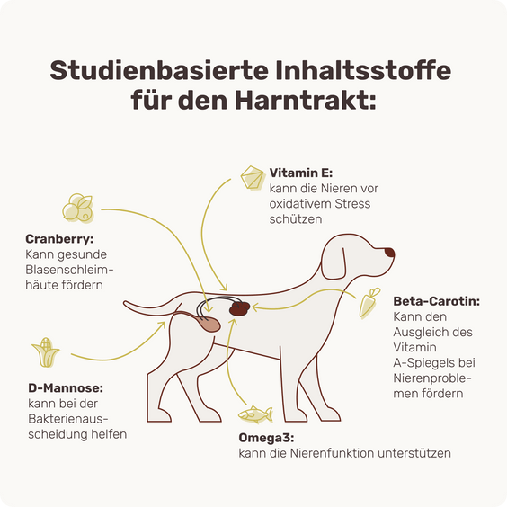 Blasen & Nieren-Snack für Hunde Uro Hero Inhaltsstoffe