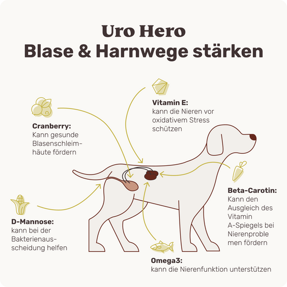 Blasen & Nieren-Snack für Hunde Uro Hero Inhaltsstoffe