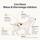 Blasen & Nieren-Snack für Hunde Uro Hero Inhaltsstoffe
