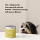Blasen & Nieren-Snack für Hunde Uro Hero Hintergrundwissen