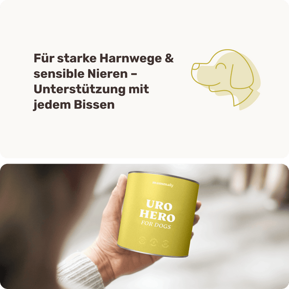 Blasen & Nieren-Snack für Hunde Uro Hero Hintergrundwissen