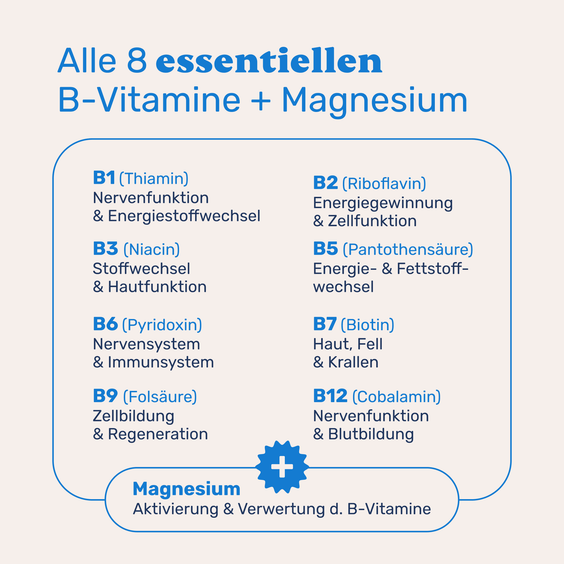 Vitamin B Komplex für Hunde – Übersicht der Wirkweisen aller 8 B-Vitamine und ihre gemeinsame Funktion